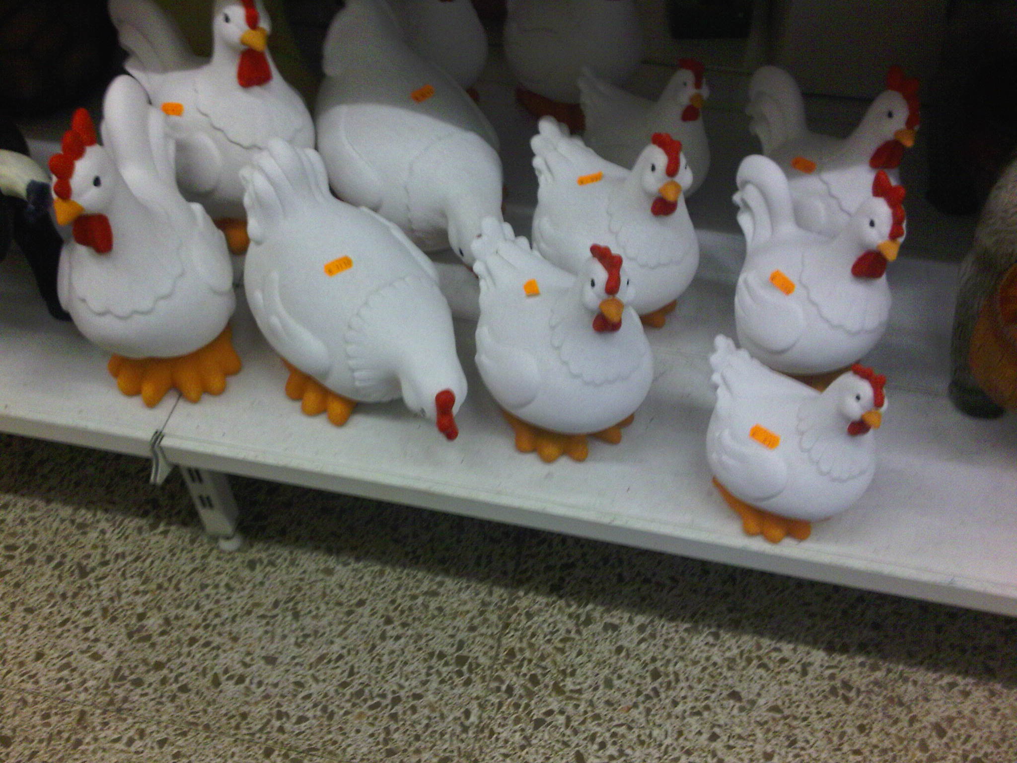 IMG00255-20110719-1903