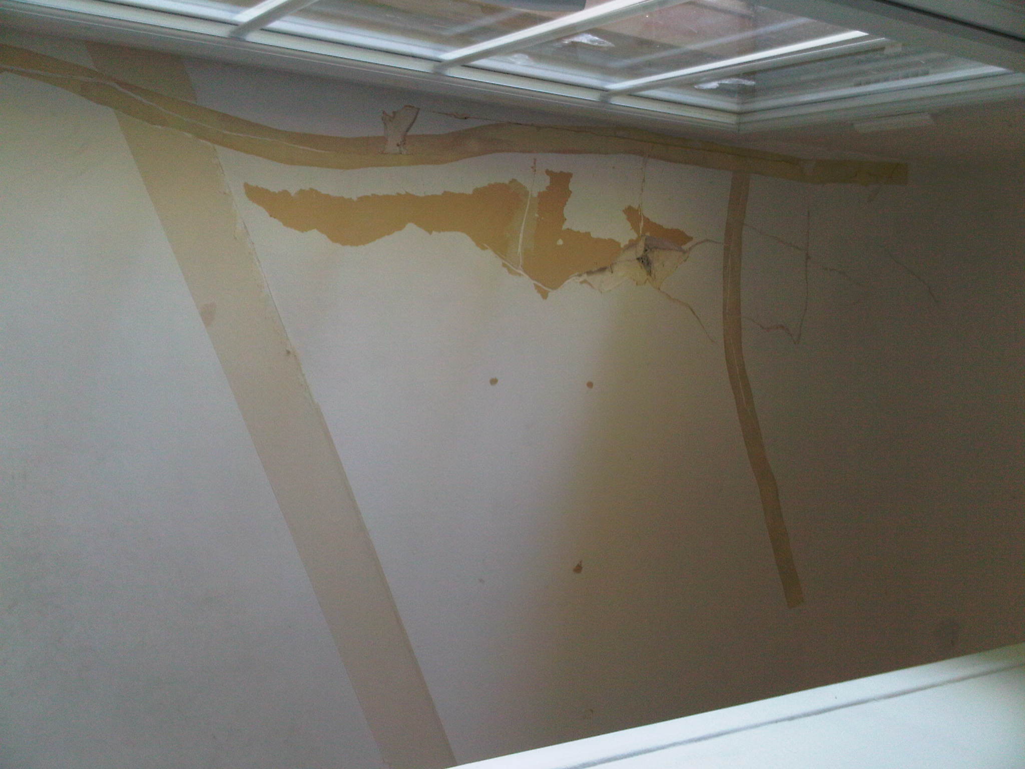 IMG00276-20110815-1904