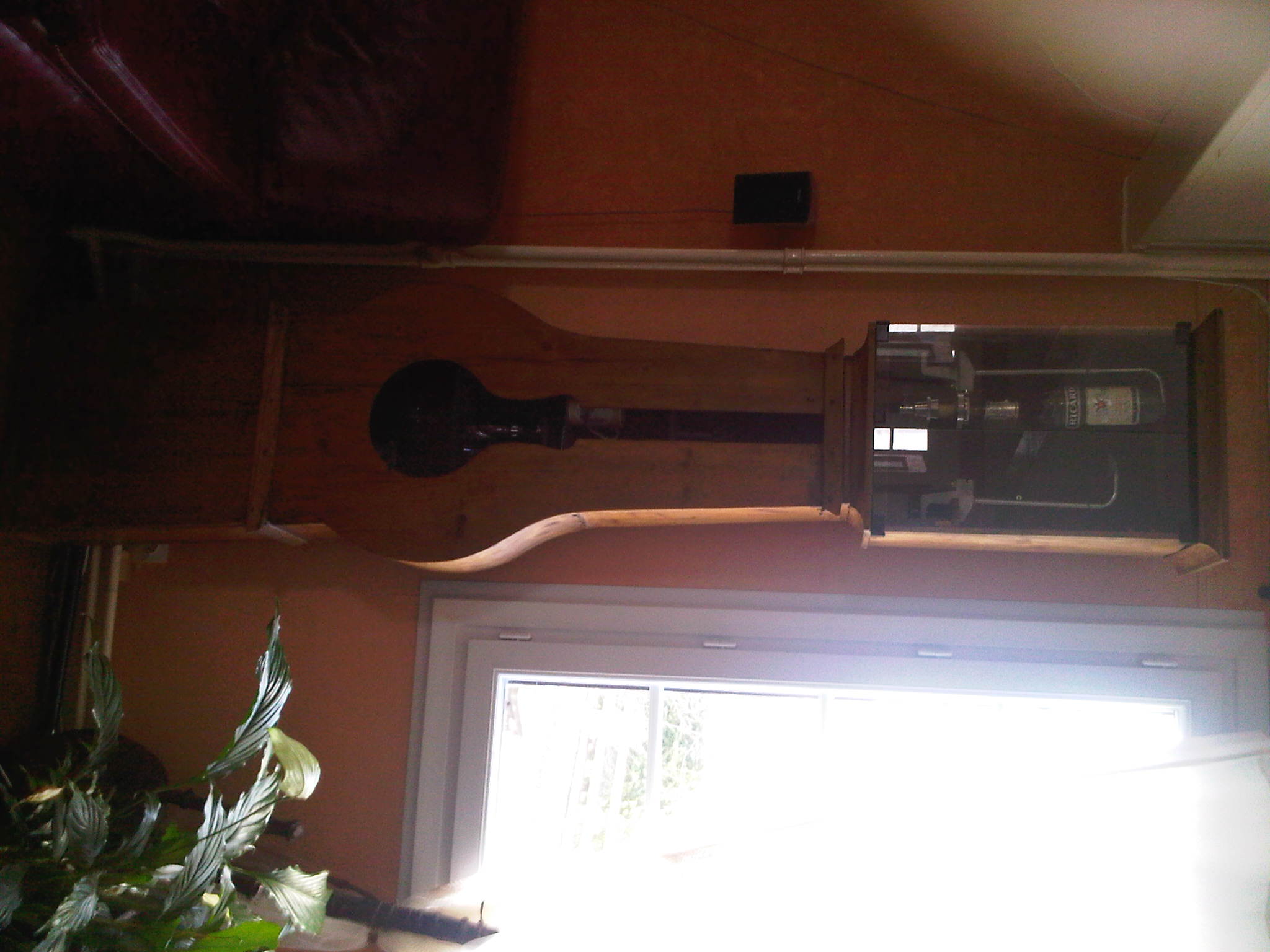 IMG00316-20111210-1303