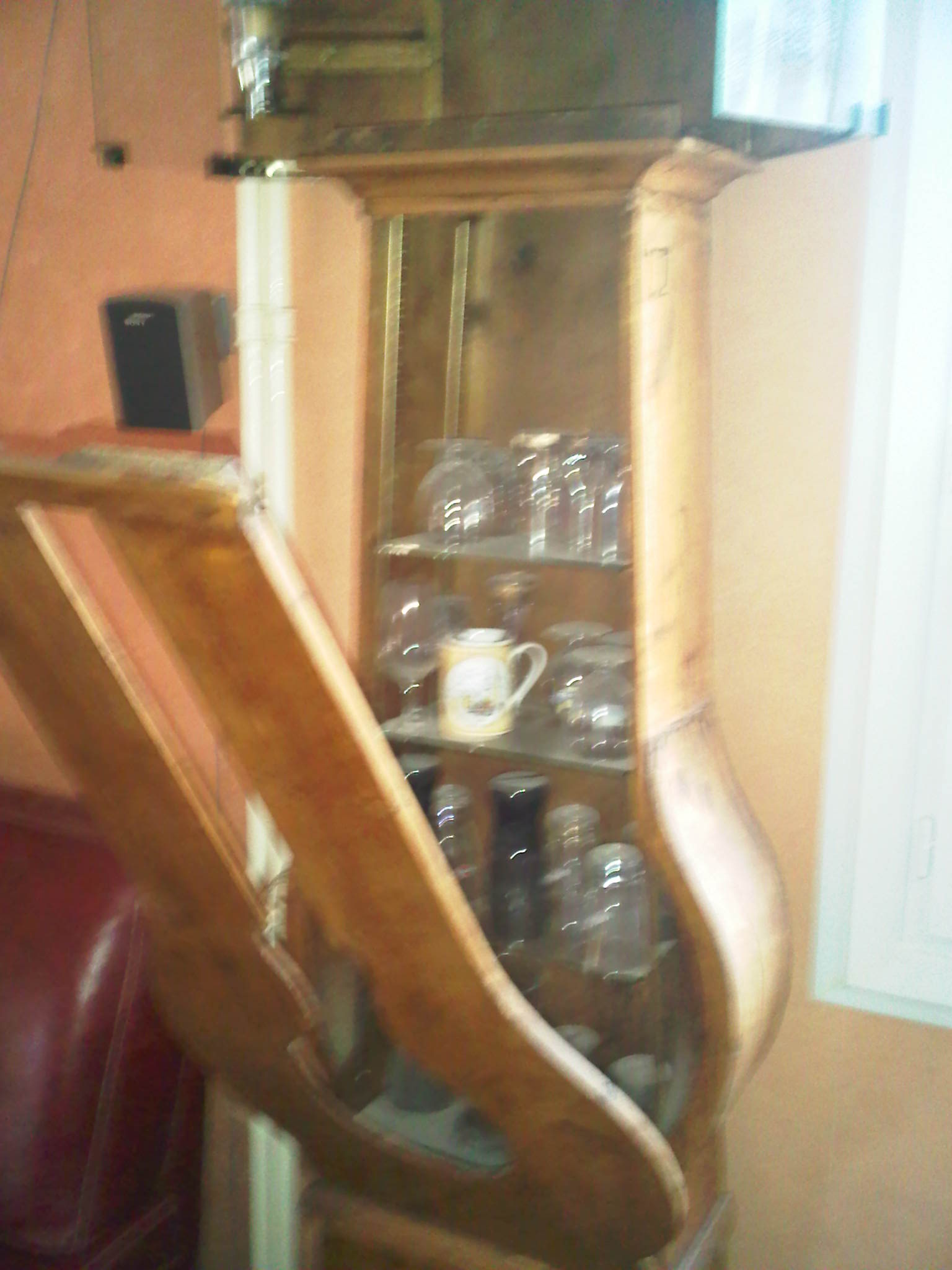 IMG00318-20111210-1304